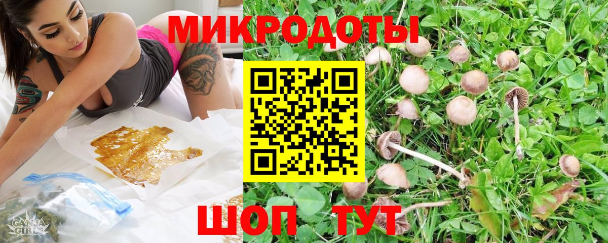 Псилоцибиновые грибы прущие грибы  Галлюциногенные грибы Psilocybine cubensis  Вход с VPN  Гудермес 